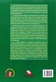 Image de Psicoterapia: Teoría y Práctica (Ciencias de la Salud, Band 85)