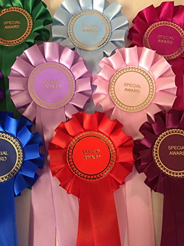 Handmade Rosettes6 x Special Award Rosettes Multicolour Rosettes