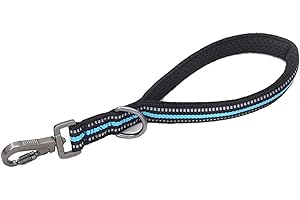MEZOKUCEL Laisse courte pour chien en nylon avec poignée rembourrée et fil réfléchissant pour entraînement de chiens de taille moyenne et grande (bleu)