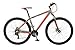 Price comparison product image Falcon Men's Radon Alloy Mountain Bike, Grey/Red, 12 Years/29-Inch