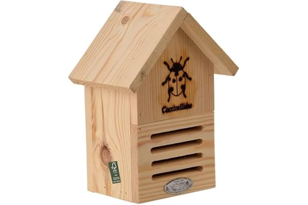Esschert Wa37 Ladybug Maison avec Ligne Dessin