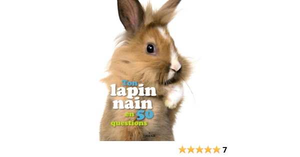 Ton Lapin Nain En 50 Questions Amazon Fr Figueras Emmanuelle Luchini Maximiliano Livres