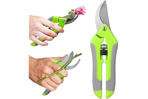 MIETONG Grün Gartenschere Ernteschere Blumenschere Stahl Klingen Rosenschere Feststellgriff Pflanzenschere Trimming Astschere Schere Baumschere Shears für Bonsai Pflanzen Blumen Ernte Obst Gemüse