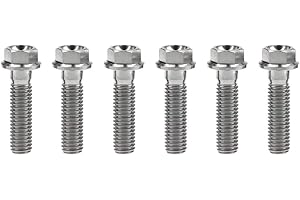 Yaruijia Bullone in titanio M8 x 15 20 25 30 35 40 45 50 55 60 65 mm piccole viti a testa esagonale flangiata per parti di moto Pich 1,25 mm, confezione da 6 (M8 x 25 mm, titanio)