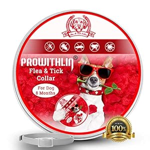 prowithlin Collar Antiparasitario para Perros contra Pulgas, Garrapatas Y Mosquitos, 8 Meses de Duración de Protección, Composición de Aceite Natural, No tóxico y Seguro