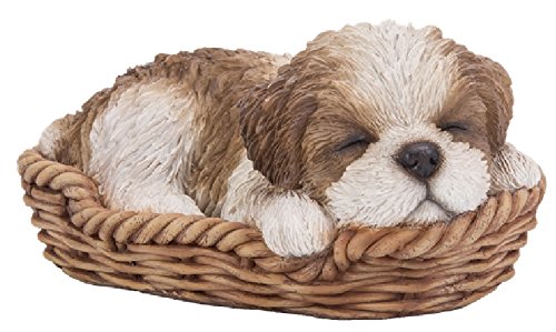 Vivid Arts Pet Pal braun Shih Tzu Welpe in Korb