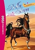 Bella Sara 09 - Le nouvel ami d'Ambre