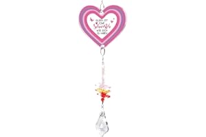 Funnli Schwester Geschenk, Sonnenfänger Geschenk Schwester Geburtstag, Herzförmiger Sonnenfänger Kristall Geschenke für Schwester Weihnachtsgeschenke Muttertag Geburtstag Weihnachten