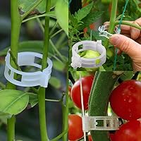 Amazon.es: Soportes para plantas: Jardín