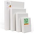 HOTOOLME 12 Pack Canvas for Painting Blank Canvases for Art Board Frame Panels Cotton Canvases for Acrylic Painting Oil Painting