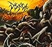 Produktbild Parallels Of Infinite Torture by Disgorge (2009-07-14)