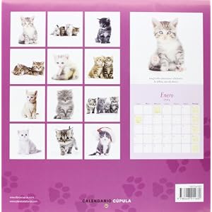Calendario Gatitos 2014