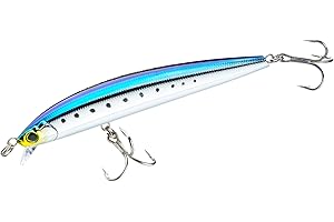 DUEL Yo-Zuri Hydro Minnow LC Esca galleggiante, 15,2 cm, sardina