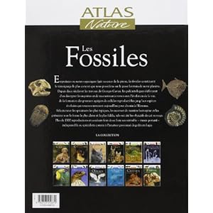 Les Fossiles Livre en Ligne Les Fossiles Livre en Ligne - Telecharger Ebook