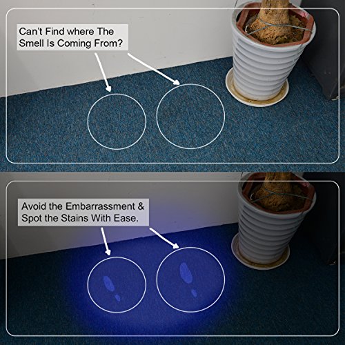 Hisea Portable Mini-UV-Lampe Taschenlampe mit grellem Licht als Urinfleckendetektor für Pet Partner / Scorpion / Spek / Gefälschte Brille mit UV - 5