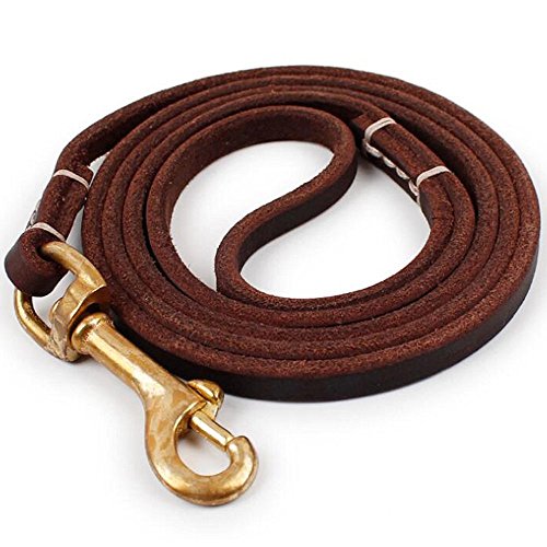 Fairwin-Leather-Dog-Lead-15M2M-Best-Dog-Training-Leash-Heavy-Duty-for-Large-Medium-Small-Dogs