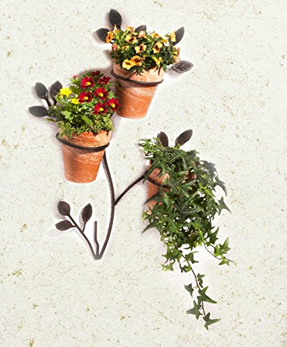 Wenko 5857050500 Wand-Blumentopfhalter Ranke für 3 Topfpflanzen, Metall Eisen, 56 x 1,3 x 43 cm, braun