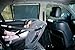 Dreambaby Extra Wide Car Window Roller Shade (Pack Of 2, Black)