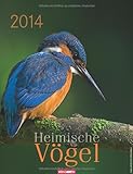 Heimische Vögel 2014 by Weingarten