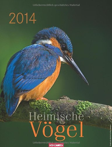 Heimische Vögel 2014