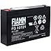 Price comparison product image Fiamm FG10721 lead-acid battery 6 Volt, 7200mAh
