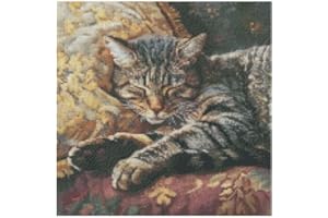 MAX STITCH DESIGN Kits de punto de cruz con diseño de gatos en el sofá (6) de 14 quilates, 150 x 150 cm, 26 x 26 cm, algodón