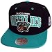 Produktbild Mitchell & Ness Snapback Vancouver Grizzlies Team Arch 2 Tone black/teal