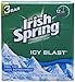 Irish Spring IcyBlast Cool Refreshment Deodorant Soap 113 g 3-Count Soap