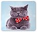 Produktbild SHAQ Cat Mouse Pad Mauspad, Tuxedo Gray Scottish Fold Theme with Vermilion White Polka Dots Tie Bow Baby Blue Fun, Standard Size Rectangle Non-Slip Rubber Mousepad, Multicolor