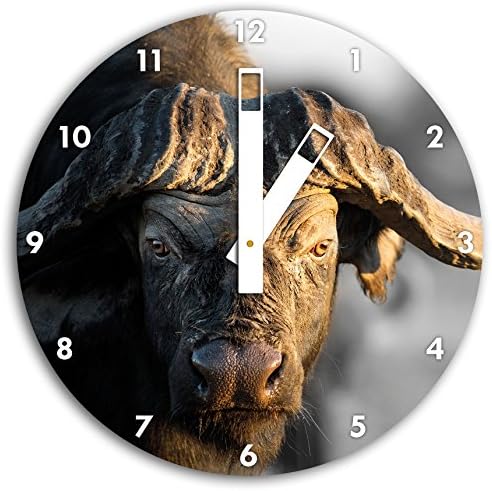 Buffalo with strong horns B &amp; W detail, wall clock diameter 48cm with black squared the hands and face, decorative items, design clock, aluminum composite very nice for living room, study