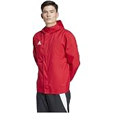 adidas Entrada 22 All-weather erkek montu