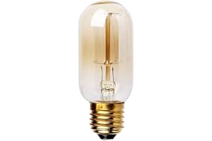 LEDSone Vintage Edison Light Bulb E27 Screw 60W Filament Edison Light Bulb Retro Vintage Squirrel Cage Antique (T45 E27 60W)