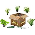 Aquarium Live Water Plants 5 in 1 Combo
