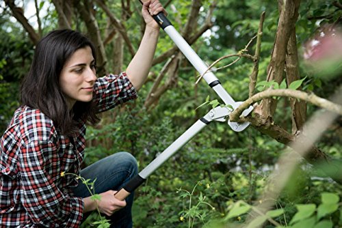 Fiskars Quantum Amboss-Getriebeastschere für trockene Zweige und Äste, Antihaftbeschichtet, Gehärteter Präzisionsstahl, Länge 80 cm, Schwarz/Orange, L109, 1001437 - 2