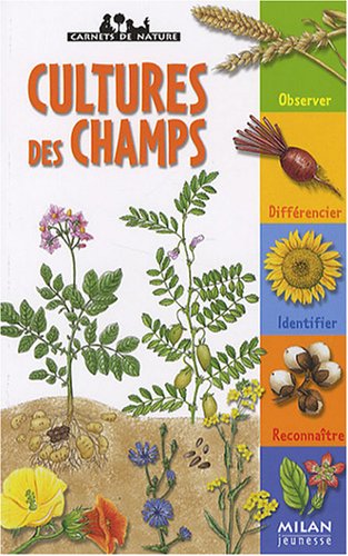 <a href="/node/840">Cultures des champs</a>