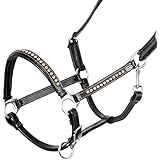 Heinick-Reitsport Qualitäts Lederhalfter ~ ProLine Diamond Gold ~ hochwertiges weiches Leder (Warmblut / Full)