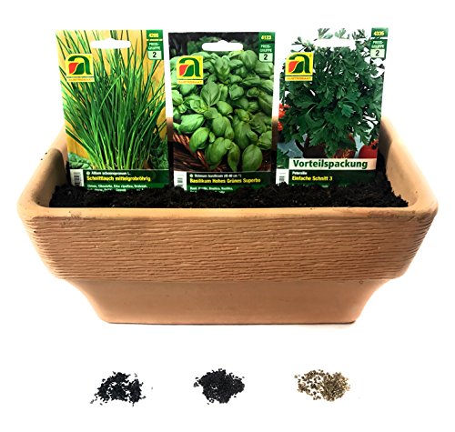 Premium Kräuter Saatgut Sortiment – 10 Sorten – über 60000 Kräutersamen – Vorteilspackung – inklusive praktischem Aufbewahrungskarton - 4