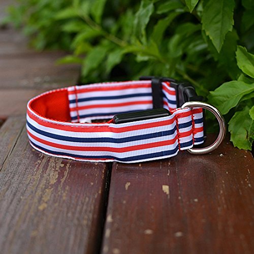 Pets-Dogs-Night-Strip-Collar-Flash-Light-Up-Led-Collars-Safety-Waterproof-Adjustable-Stripe-Colorful