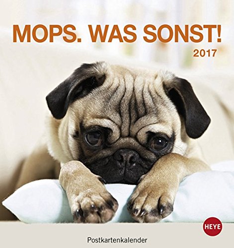 Mops Postkartenkalender - Kalender 2017
