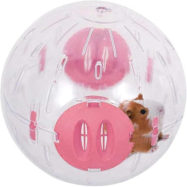 Hamster Ball Wheel, Pieces Hamster Exercise Ball Gym Hamsters Wheel