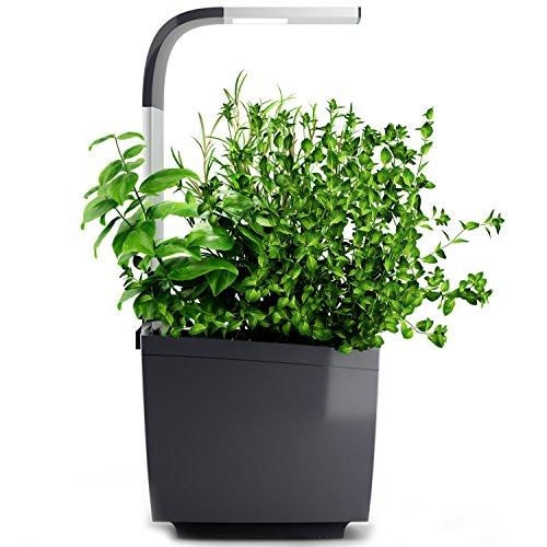 Tregren T3 LED Mini Garden, Grey, 21 x 18 x 44 cm
