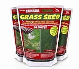 Canada Green Grass Seed, 500 Grams (Garden &amp; Outdoors)
