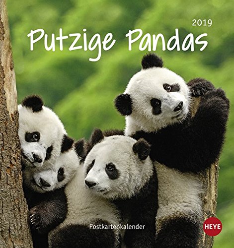 Putzige Pandas Postkartenkalender - Kalender 2019