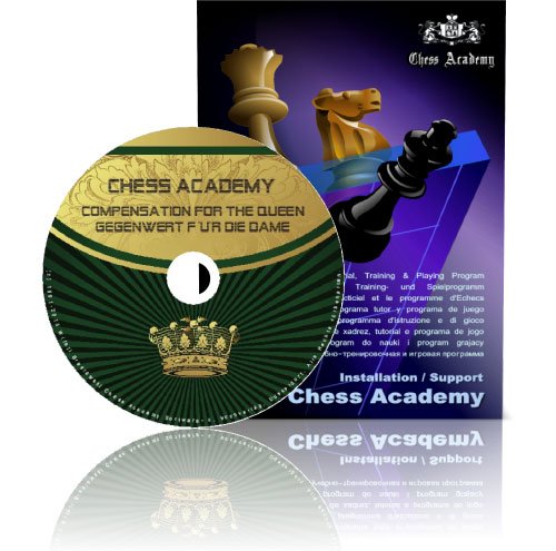 Preisvergleich Produktbild Chess Academy Mittelspielstrategie: Gegenwert für die Dame