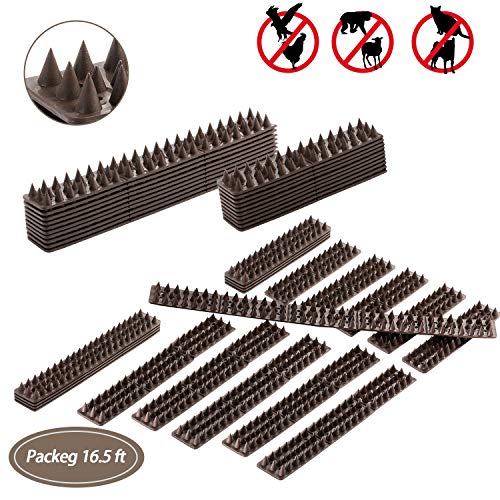 Vogelabwehr Mehr Als 200 Angebote Fotos Preise