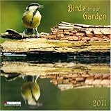 Birds in our Garden, Broschürenkalender 2011 by 