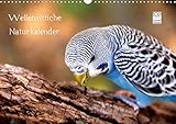 Wellensittiche - Naturkalender (Wandkalender 2020 DIN A3 quer) by 