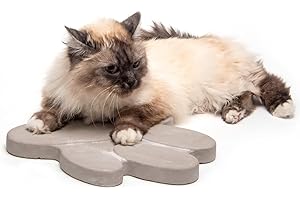 matches21 HOME & HOBBY Trittsteine Tatze für Garten und Gehwege - 4 Trittplatten im Set - große Gartenplatten aus Beton Stein je 30 x 25 cm