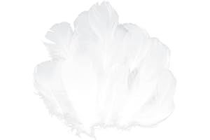GoldRock 300 Stk Weiße Federn zum Basteln,Federn Weiss Flauschig 8-13cm,Federn Weiss Deko,Natürliche Feder,Engelsflügel zum Basteln,Federn zum Basteln Weiß für Christmas,Traumfänger,Kopfschmucksfedern