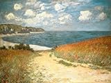 Póster de la lámina: Claude Monet ' de gato Road to pour Ville, 4780.28 cm 80 x 60, sin marco, 80 x 60